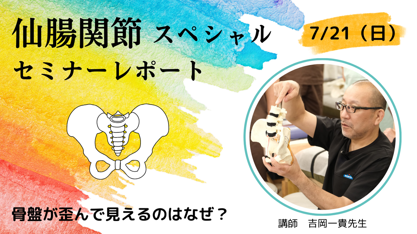セミナーレポート（仙腸関節SP）「骨盤が歪んで見えるのはなぜ