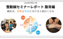 セミナーレポート（腹背編）「鍼灸は整動と整流に分けると面白くなる」の詳細へ