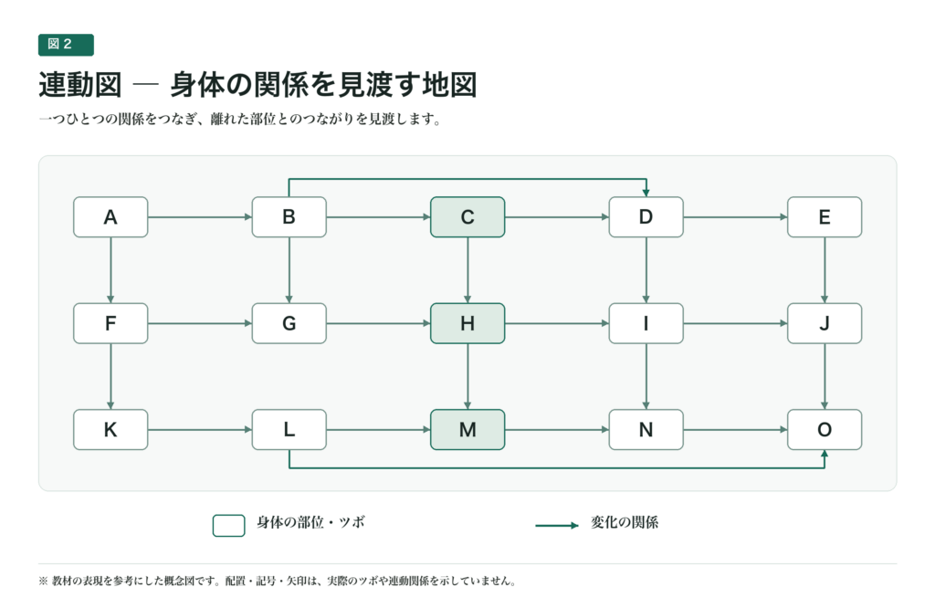 連動図(身体の関係を見渡す地図)